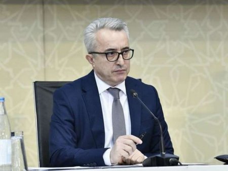 "Koronavirusla Mübarizəyə Dəstək Fonduna toplanmış 113 milyon manatın xərclənməsinə ehtiyac olmayıb" - İbrahim Məmmədov