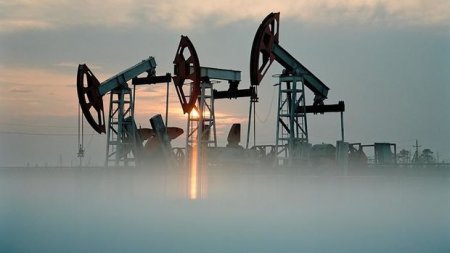 Neftin qiyməti 43 dolları keçdi