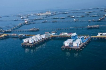 SOCAR: Dənizdə işləyənlər test nəticələri mənfi çıxandan sonra işə göndərilir