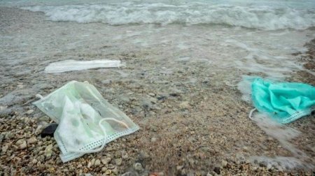 Ekoloqlar tibbi maskalarla əlaqədar həyəcan təbili çalır