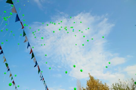 "Bilik Günü" münasibətilə Yevlax şəhəri 4 nömrəli tam orta məktəbdə iştirak edib